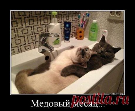 Классические картины, скрывающие на своих полотнах невероятные тайны