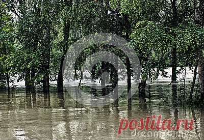 Stock Photos, Royalty-Free Images & Video Footage By Dreamstime Stock Photography