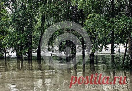 Stock Photos, Royalty-Free Images & Video Footage By Dreamstime Stock Photography