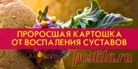 ПРОРОСШАЯ КАРТОШКА ОТ ВОСПАЛЕНИЯ СУСТАВОВ | Полезные советы