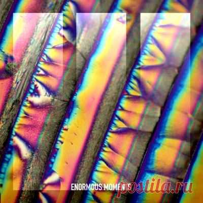 Con-Fusion, Nadav Robin – Elevate