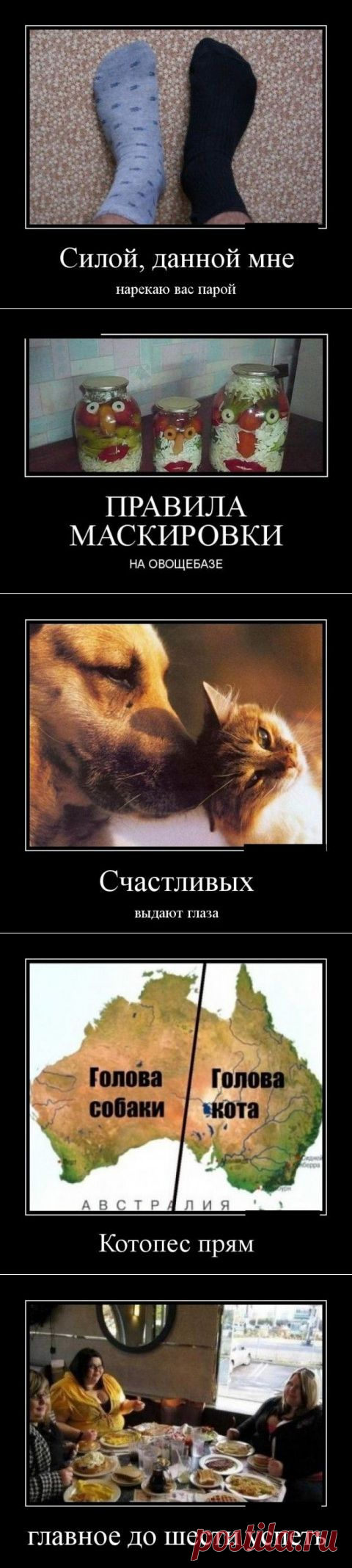 Силой, данной мне, нарекаю вас парой... (позитивные демотиваторы) | Кому за пятьдесят