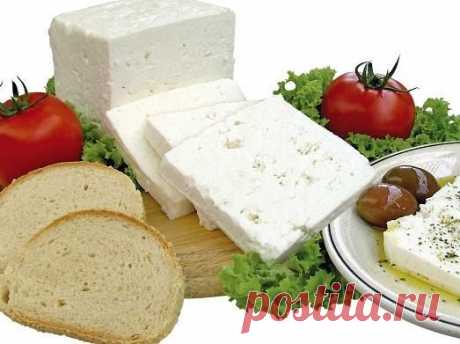 Брынза – вкусный и полезный продукт.