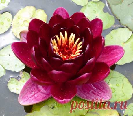 Редактировать описание