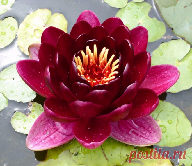 Редактировать описание