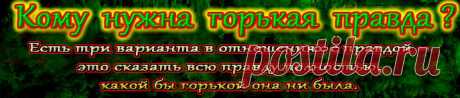 Кому нужна горькая правда? Есть три варианта в отношениях с правдой – это сказать всю правду полностью, какой бы горькой она ни была или....