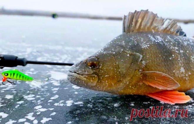Зимняя рыбалка. Особенности ловли рыбы с декабря по февраль