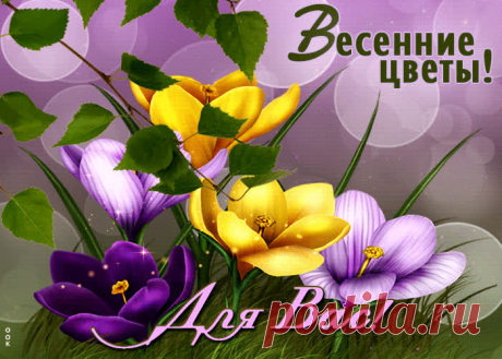 Жемчужная гиф-открытка, весенние цветы для вас