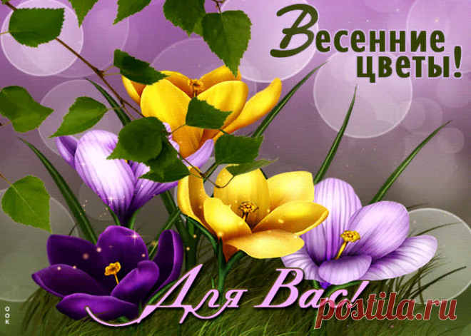 Жемчужная гиф-открытка, весенние цветы для вас