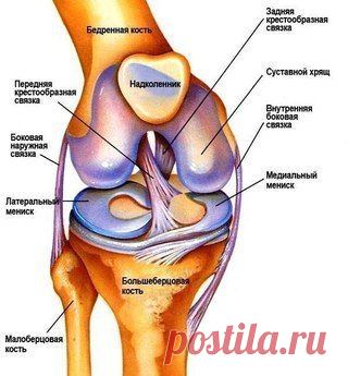 Интересные новости