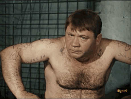 11156024.gif (500×378)