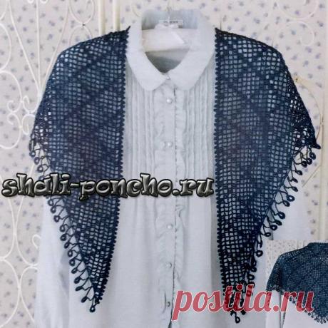 Филейный бактус