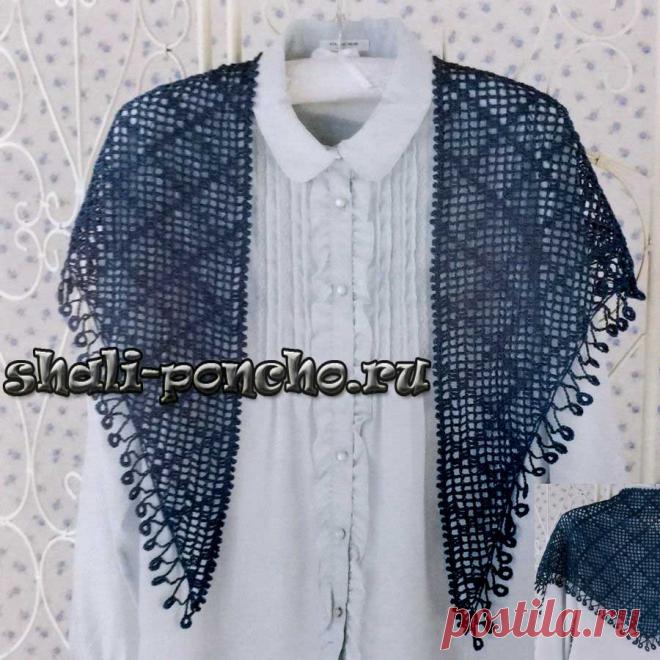 Филейный бактус