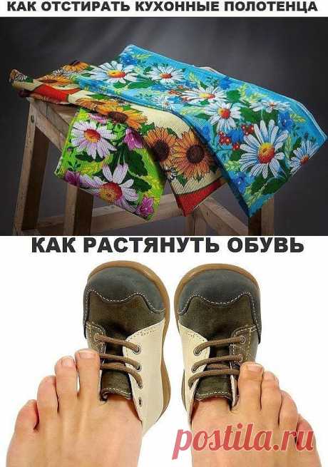 (4) Одноклассники