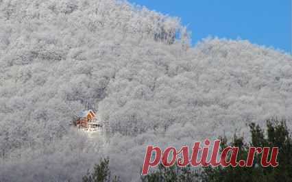 ОКНО Овертона – Сообщество – Google+