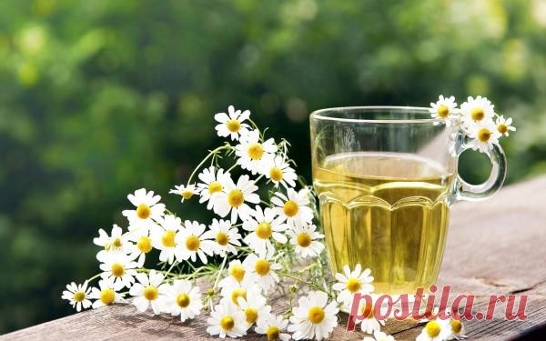 Народные средства для волос: видео-инструкция по уходу своими руками в домашних условиях, как затемнить, окрасить, какие маски лучше, фото и цена