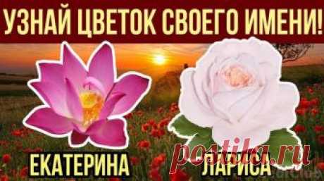 Каждое женское имя прекрасно по своему звучанию. И каждое несёт свой сакральный смысл. Я предлагаю вам узнать какой какой цветок соответствует вашему имени. В этом списке только самые распространенные имена на постсоветском пространстве.