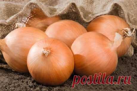 ОТЛИЧНЫЙ РЕЦЕПТ ИЗ ЛУКА ДЛЯ СНИЖЕНИЯ САХАРА В КРОВИ! УЖЕ НЕСКОЛЬКО ЛЕТ ГЛЮКОЗА В НОРМЕ! — Домашние заботы