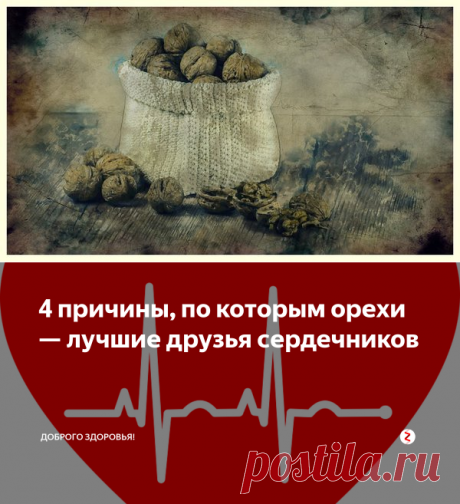 4 причины, по которым орехи — лучшие друзья сердечников | Доброго здоровья! | Яндекс Дзен