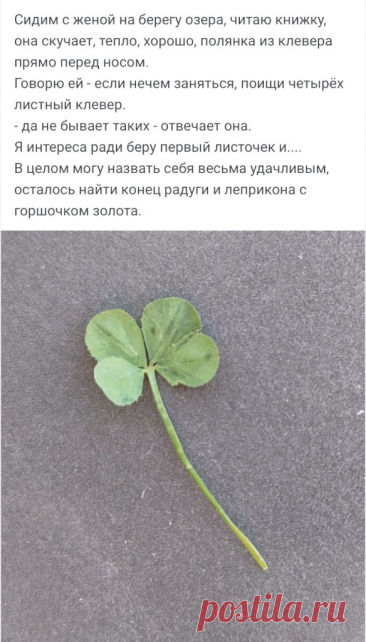 Выпуск №6416 - выпуск анекдотов сайта вокруг смеха