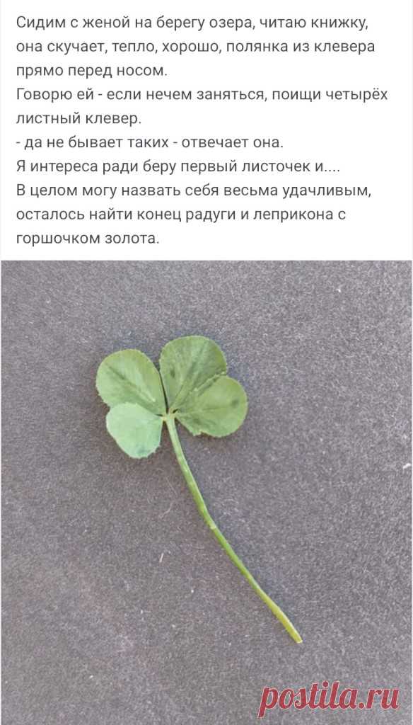 Выпуск №6416 - выпуск анекдотов сайта вокруг смеха