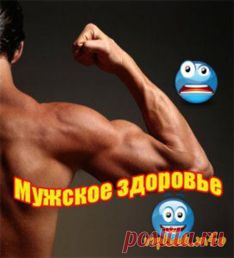 ЭНЦИКЛОПЕДИЯ МУЖСКОГО ЗДОРОВЬЯ. | Познавательный сайт ,,1000 мелочей&quot;