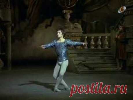 swan lake, Nureyev