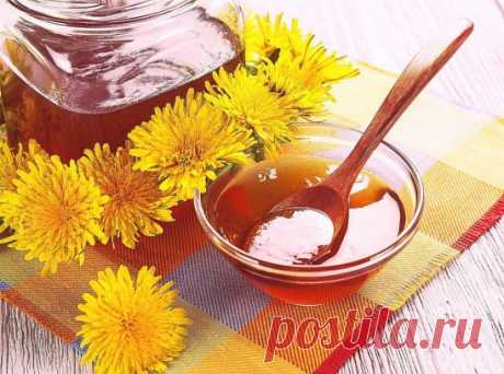 Как приготовить целебное варенье из одуванчиков. 
В мае вокруг очень много одуванчиков. Вы можете приготовить из них вкусное варенье, восстанавливающее клетки печени и желчного пузыря, очищающее кровь. Оно помогает организму выводить вредные вещества и избыточный холестерин, лечит атеросклероз и улучшает память. 
Что вам понадобится: 
• цветки одуванчика — 300 шт., 
• сахар — 1 кг, 
• вода — 3 стакана, 
• лимон — 1 шт. 
Соберите 300 цветков одуванчика с желтой головкой вместе с чашелистиками,