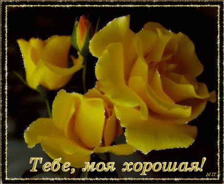 Тебе, моя хорошая!