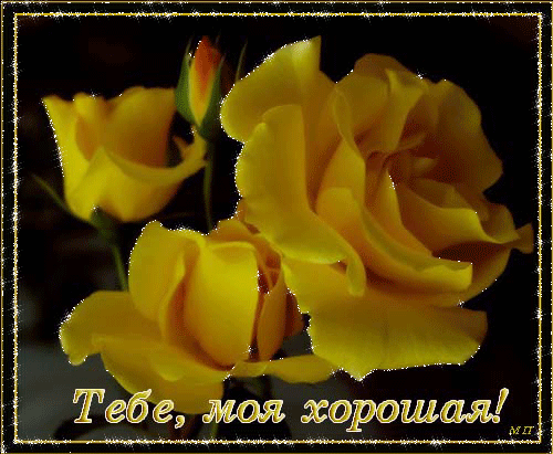 Тебе, моя хорошая!