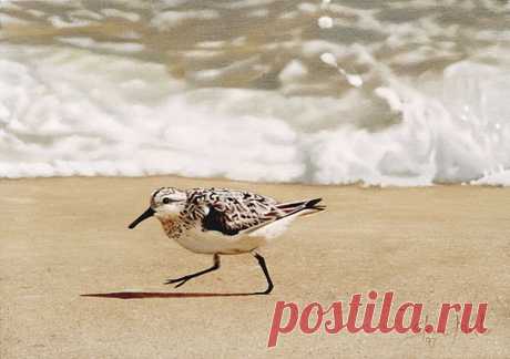 Реально, как фотографии! Художник Steve Mills