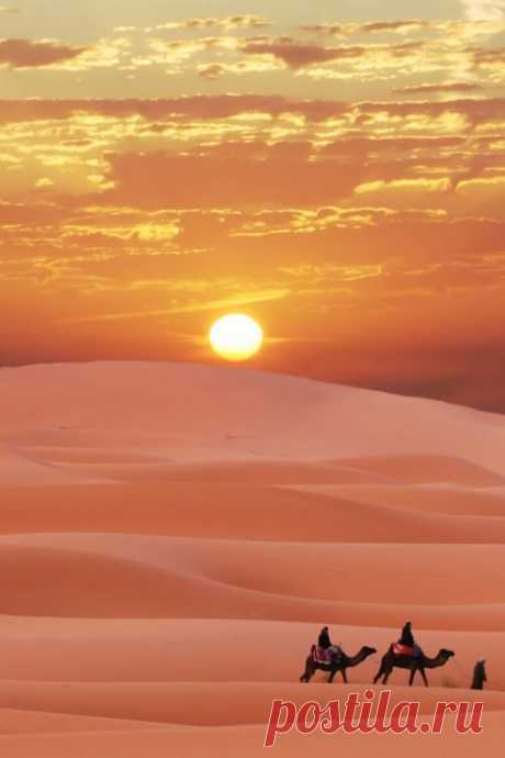The Sahara   |  Пин от пользователя A Dandelion Girl Children's Book на доске Awesom…