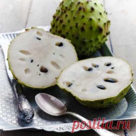 ПОЧЕМУ МЫ НИЧЕГО НЕ ЗНАЕМ О ФРУКТЕ КОТОРЫЙ ЛЕЧИТ РАК?