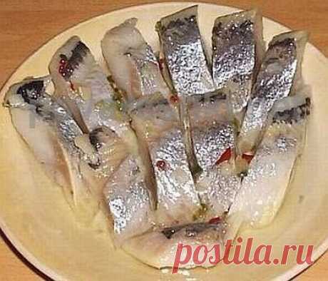 ШЕСТЬ МАРИНАДОВ ДЛЯ СЕЛЕДКИ