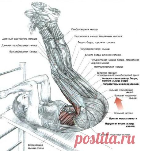 ЛУЧШИЕ УПРАЖНЕНИЯ ДЛЯ ПРОКАЧКИ ПРЕССА / Спорт Сильных!