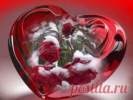 Svetlana Artjomova-Topalova shared a memory from... - Svetlana Artjomova-Topalova