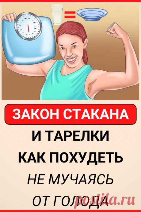 Закон стакана и тарелки. Или как похудеть не мучаясь от голода
#похудение #диета #как_похудеть #убрать_живот #похудеть #похудеть_быстро #советы #полезные_советы #жизненные_советы