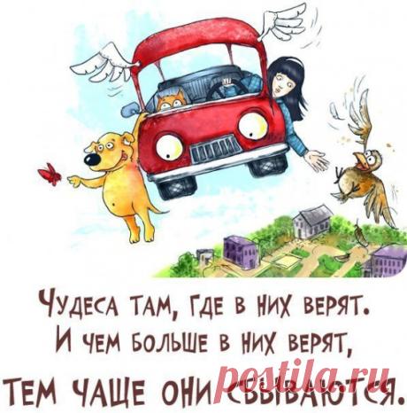 Без заголовка.