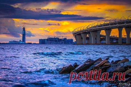 ЗСД и перст Газпрома.