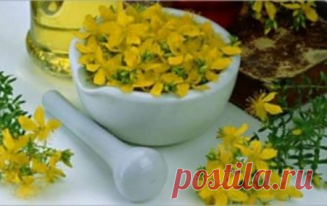 Травяной настой для продления молодости Этот настой понравится тем, кто любит травяные чаи. Он поможет похудеть без диет, улучшить обмен веществ, очистить организм от шлаков, что естественным образом приведет к улучшению работы сердца, пече...
