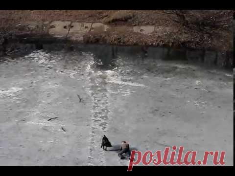 Боролся изо всех сил, но друга не бросил!