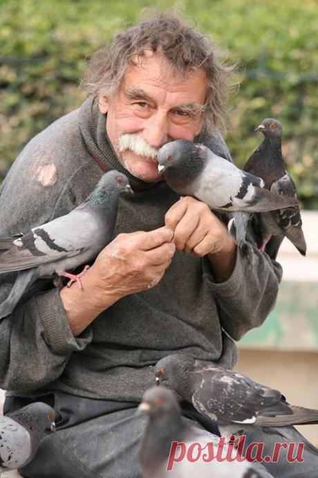 (14) Mister Finch - Timeline Photos