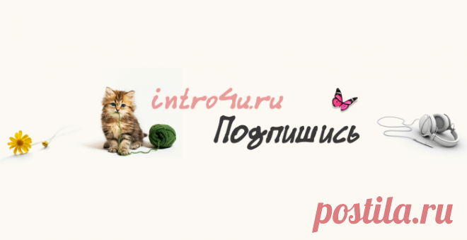 Шаблон шапки c котёнком для youtube | INTRO4U