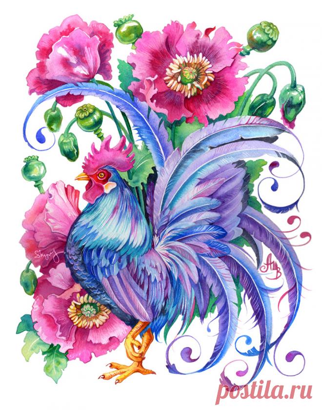 Художник-иллюстратор Анна Буччиарелли (Шинлова) - Anna Bucciarelli.