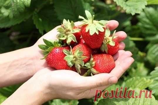 (60) Одноклассники