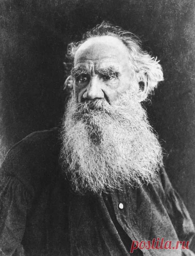 Leo Tolstoy  |  Pinterest: инструмент для поиска и хранения интересных идей
