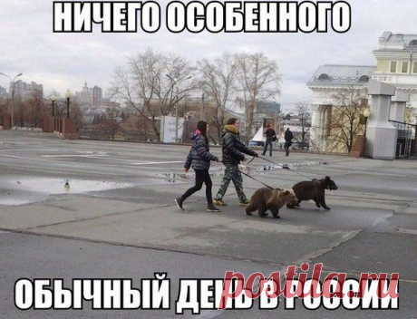 (+1) тема - Минутка смеха)) | ПИТОМЦЫ