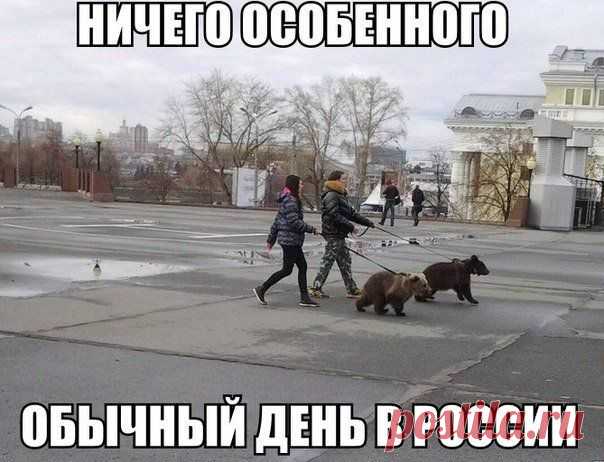 (+1) тема - Минутка смеха)) | ПИТОМЦЫ