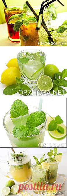 мохито