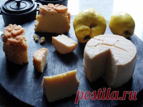 Гороховый сыр. Постный сыр. Постная сырная тарелка. - Русская кухня.